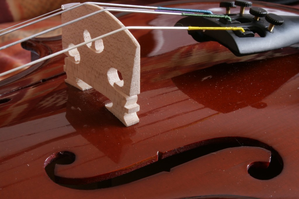 Quelle est la difference entre un violon classique et un violon electrique ? Apprendre le violon